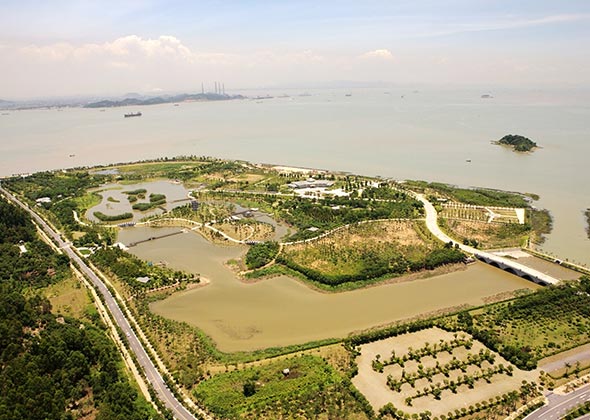 2009年7月21日,滨海公园(蔡胜辉)