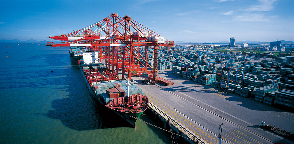 2008年1月15日,南沙港一期(2004年9月28日投产)